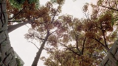 A screenshot taken in Dreams. 10 of 24.