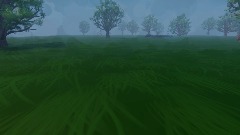 Explore the world as a bird