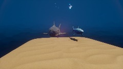 Shark Boss