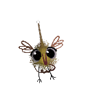Ragdoll-Lele