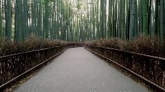 A screenshot taken in Dreams. 24 of 25.