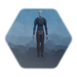 My First Person Character