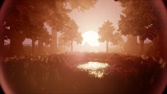 Ultra Realistic Forest [Updated]