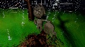 YouTube vids