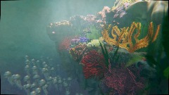 Petit paradis corallien