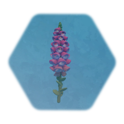 Foxgloves