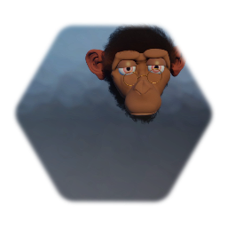 Monkey head