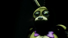 Spring bonnie parts and service repair