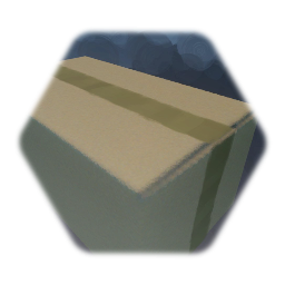 Cardboard box (shut)