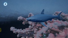 Remix of Composite Shark WIP