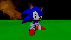 senik shorts: foot lettuce