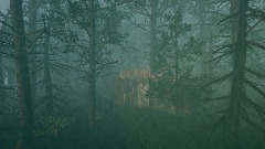 Forest Will
