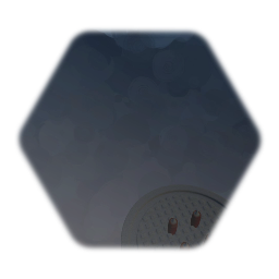 Manhole Shield