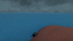 Lonly raptor at Sydney opra house