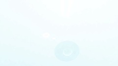 Spiffy pictures logo Shoop a whoop