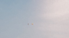 CoMmunity Remixes #1: The Zombie, The Pea and The Brain