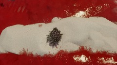 Beirut explodes: an animation