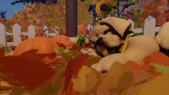 A sweet autumn scene