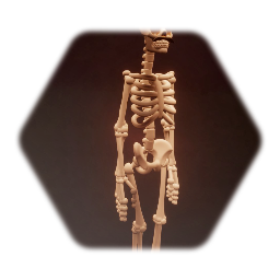 Band Member - Skeleton