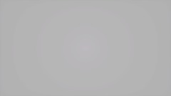 A.C.I (Animation Crew Interactive)