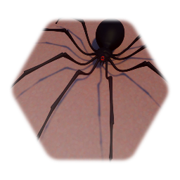 Animated Spider