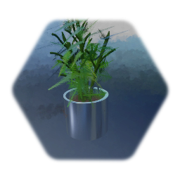 Plant_001