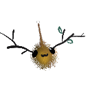 JellyTastesBad