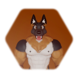 🐶 Buff German Shepherd