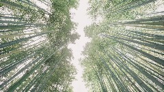 A screenshot taken in Dreams. 17 of 24.