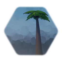 Palm Tree