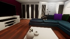 My Cat in my liveing room\kitchin