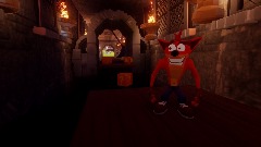 crash bandicoot