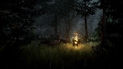 The Last of Us Part II Engine Testing
