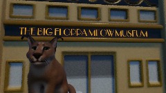 The Big Floppa Meow Museum