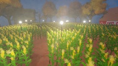 Corn Maze