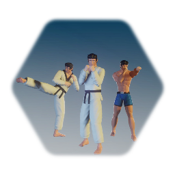 Martial Arts Character