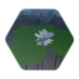 Water Lily