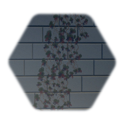 Berry Vine - Cluster
