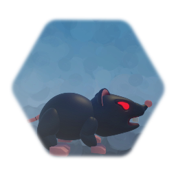 Black Rat
