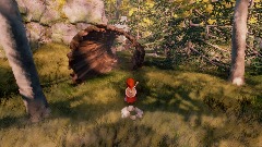 Woods
