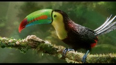 A screenshot taken in Dreams. 3 of 7.