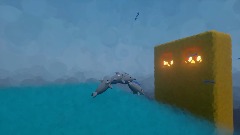 DHM Dolphin fire fighter