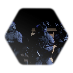 Shadow company soldier