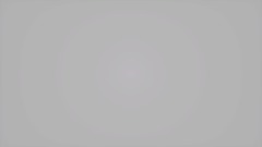 Why I Should Join The Diamond Squad! (Application)