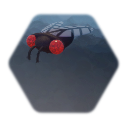 House Fly