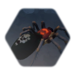 Das tapfere Spiderlein