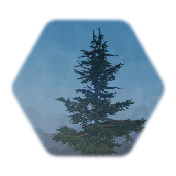 Mountain Spruce Tree