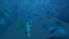Underwater demo