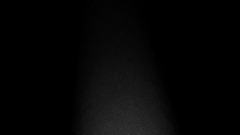 Remix of Trizzle Rex Logo Animation