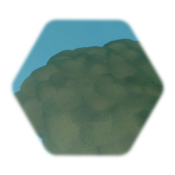 Very large grass patch